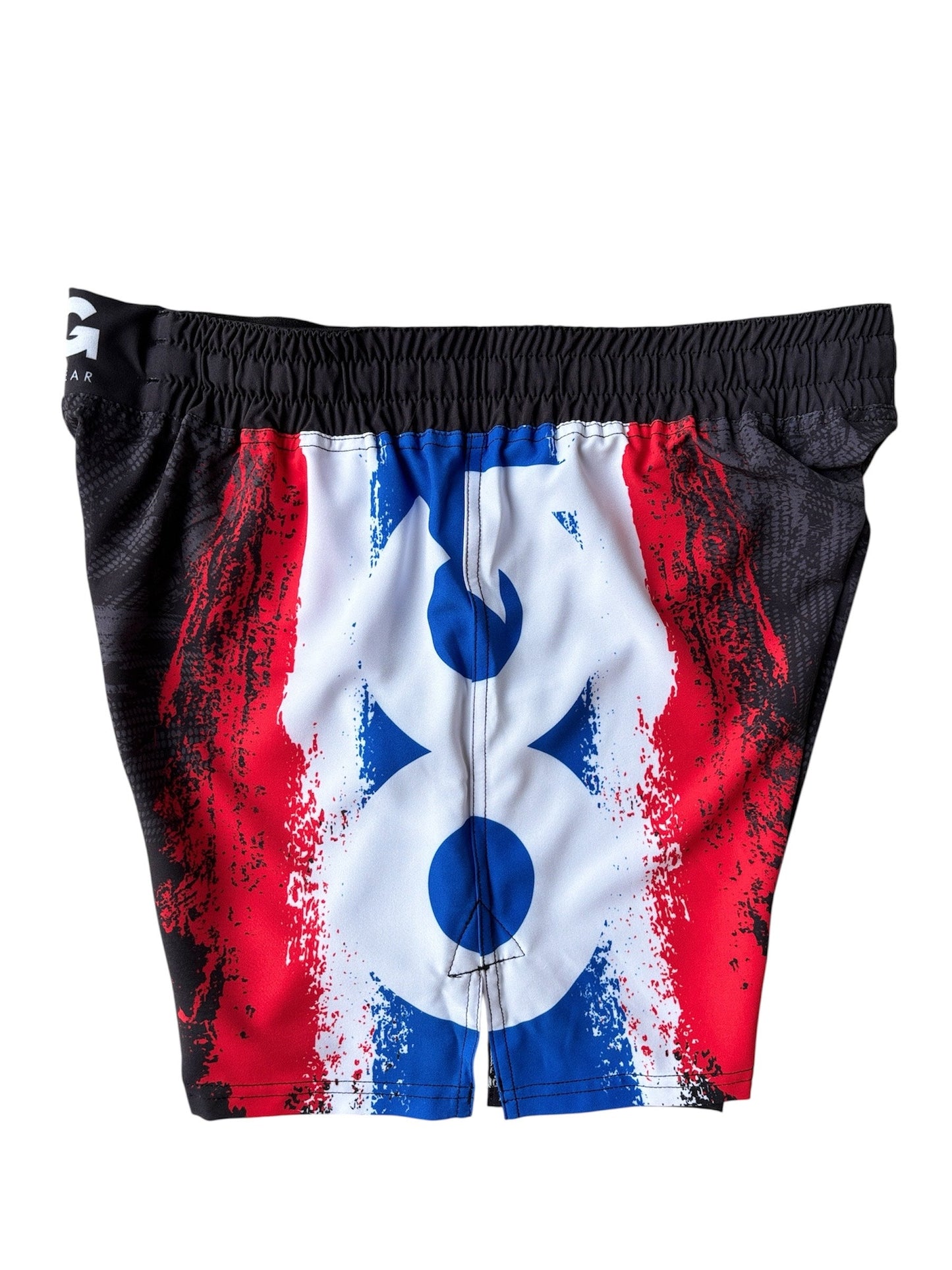 Ped Thai MMA Shorts